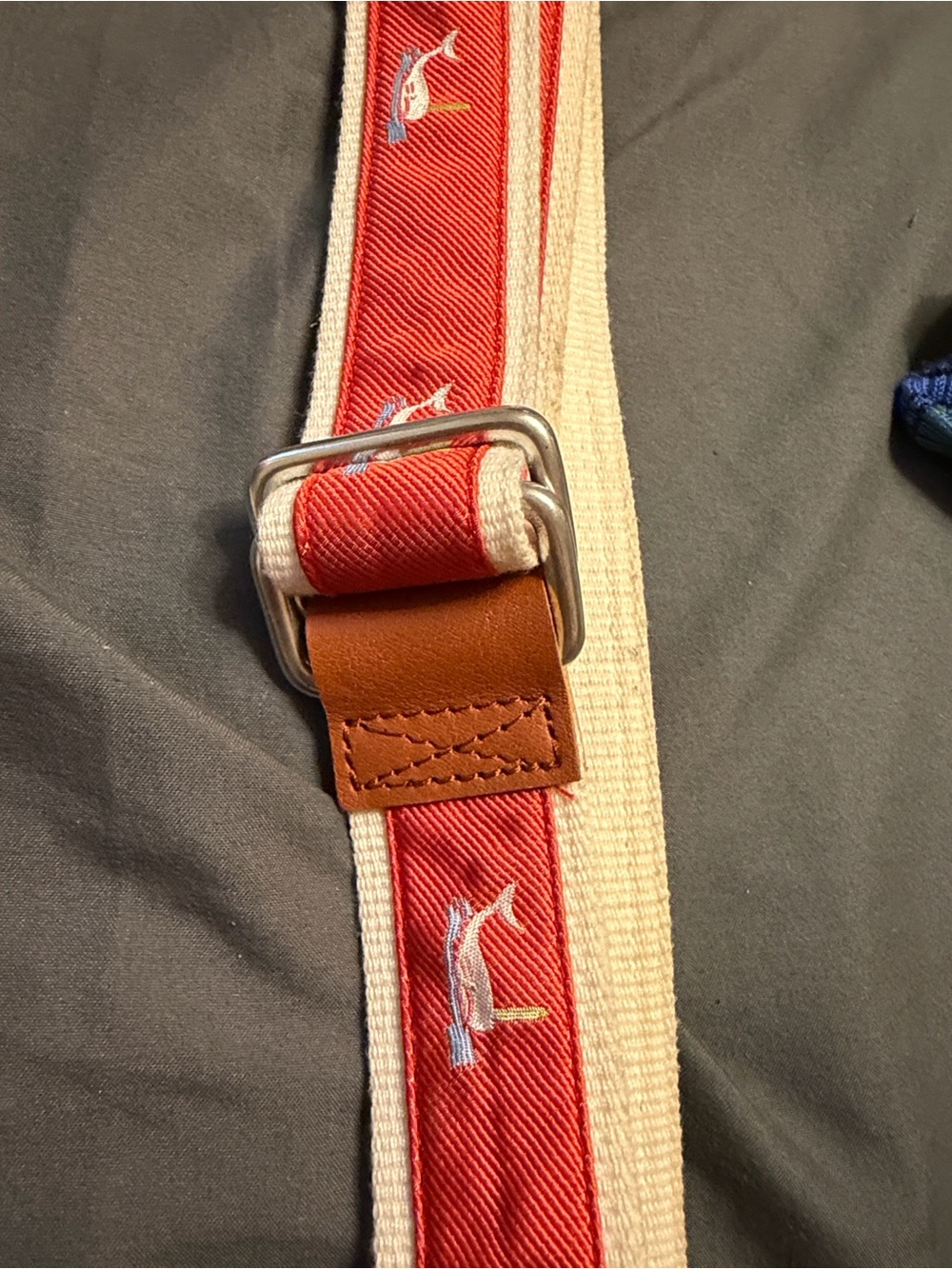 J McLaughlin Canvas D Ring Ribbon Belt with Spouting Whale Embroidered Accent